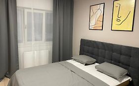 Modern Gray / Designed